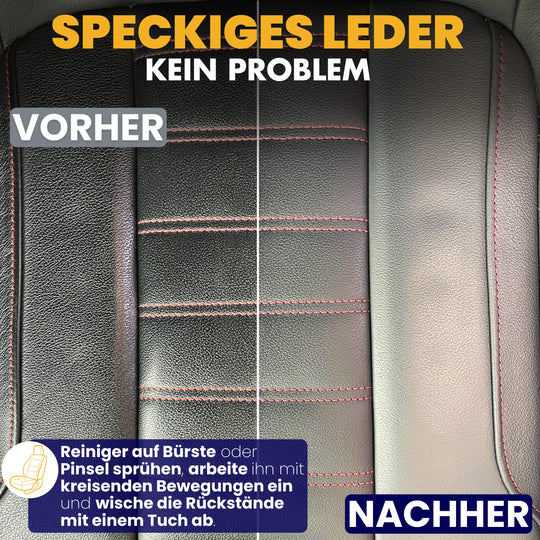 Innenraum Bundle