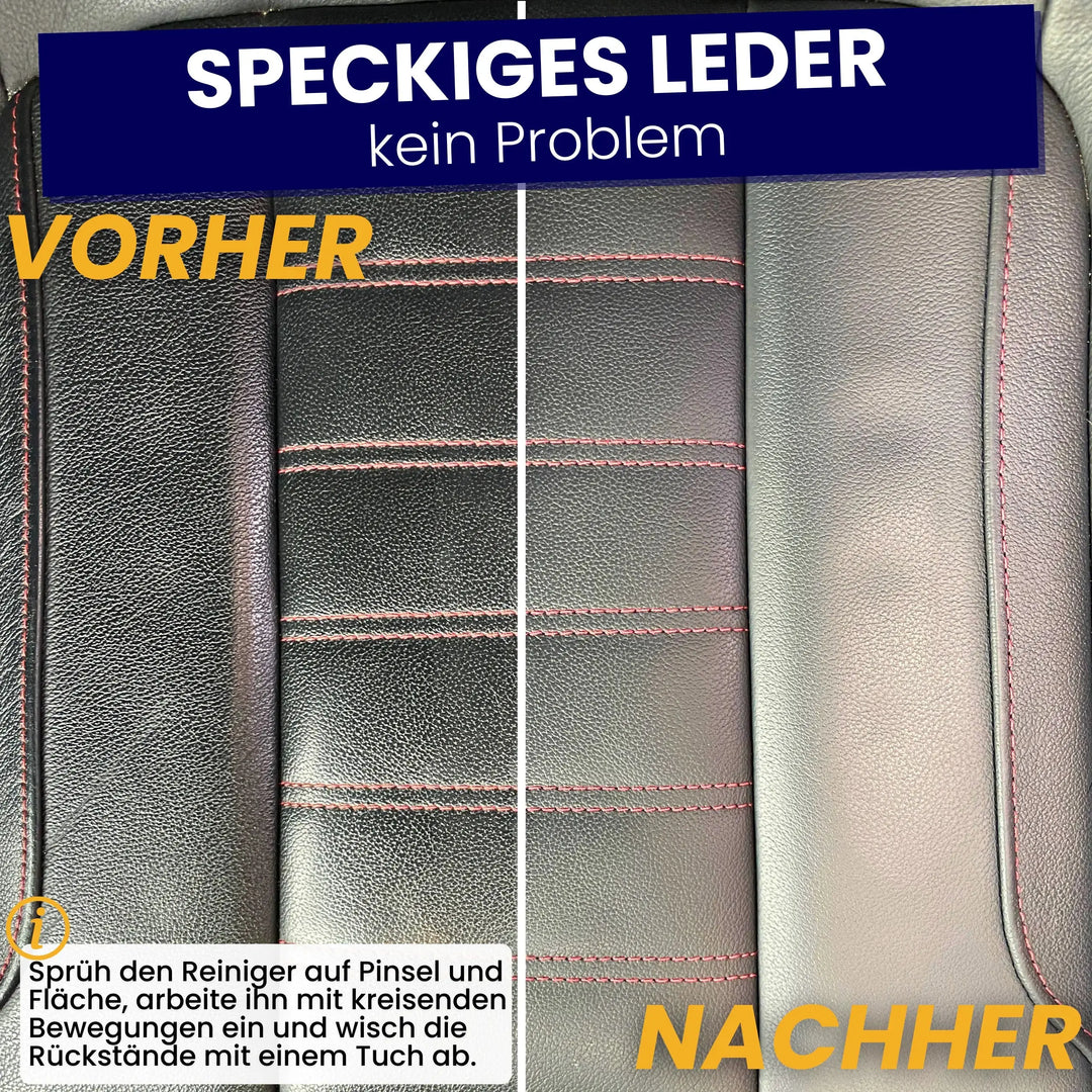 Lederreinigung porentief